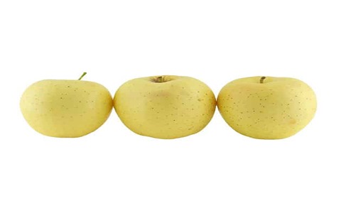 https://shp.aradbranding.com/قیمت سیب زرد با کیفیت ارزان + خرید عمده